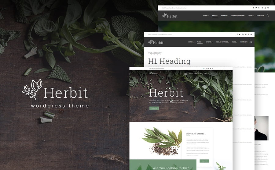 Top 20 Healthcare WordPress Themes For Multipurpose Usage 19 Medical WordPress Template